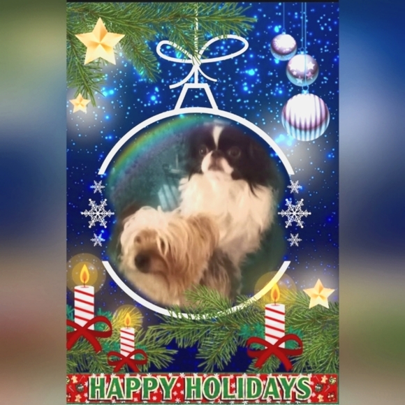 🍬🕯🎄"Happy Holidays!"🎄🕯🍬 - Picture 3 of 16